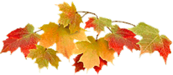 1 (20) (250x109, 44Kb)