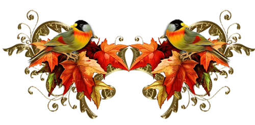 1 (28) (500x245, 175Kb)