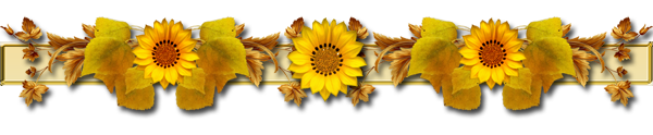 1 (36) (600x124, 68Kb)