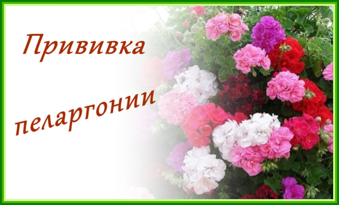 50 (700x424, 244Kb)