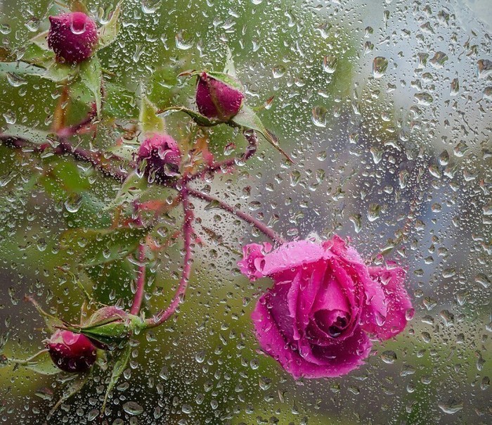 image (700x604, 211Kb)