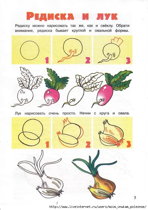 Prostye_uroki_risovania_Volshebny_karandash_Ovoschi_i_frukty_5-13_let_2010_6_5 (495x700, 228Kb)