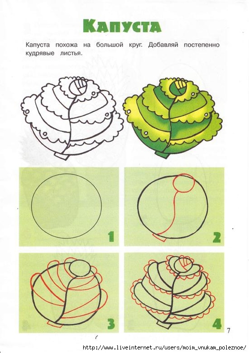 Prostye_uroki_risovania_Volshebny_karandash_Ovoschi_i_frukty_5-13_let_2010_6_7 (494x700, 217Kb)