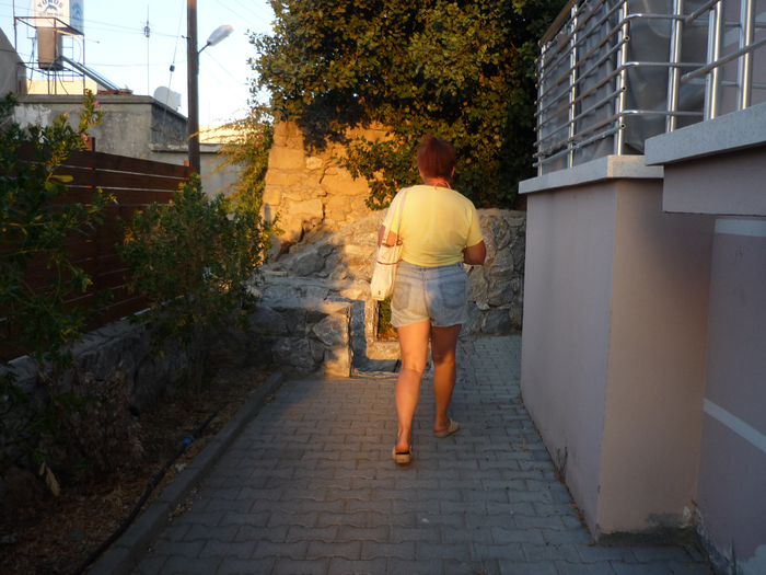 P1210955 (700x525, 442Kb)
