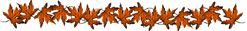 1 (3) (500x63, 16Kb)