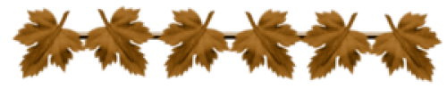 1 (4) (500x100, 62Kb)