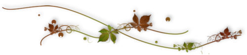 1 (6) (500x113, 38Kb)