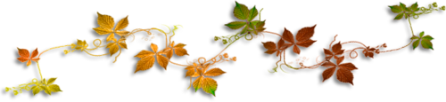 1 (11) (500x115, 65Kb)