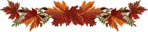 1 (19) (300x66, 42Kb)