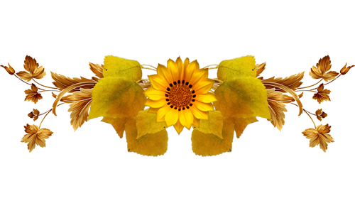 1 (33) (500x300, 148Kb)