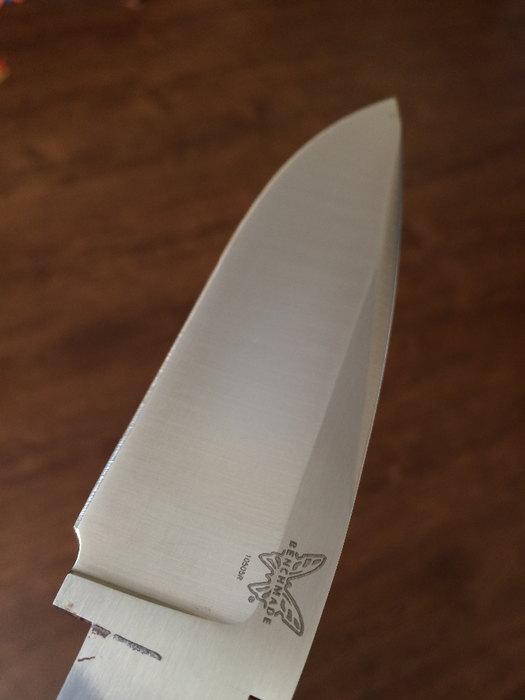 IMG_0158 (525x700, 233Kb)