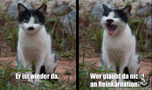 1 (499x296, 393Kb)