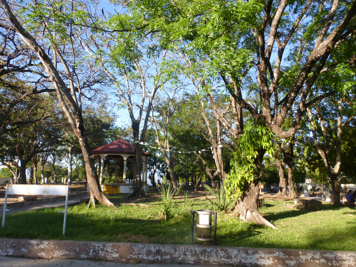 P1340452 (700x525, 719Kb)