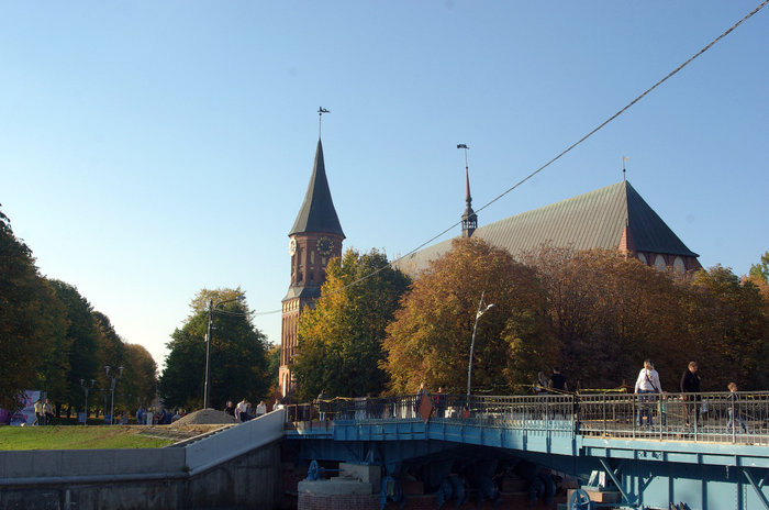 IMGP9165 (700x464, 397Kb)