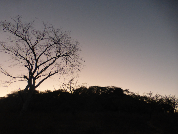P1340520 (700x525, 347Kb)