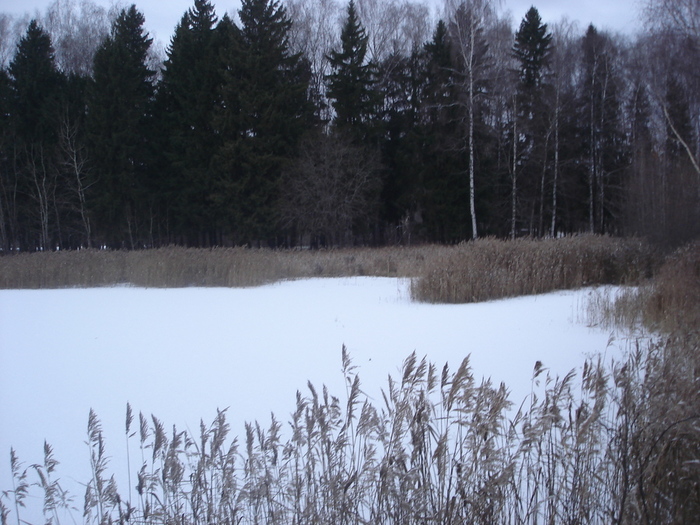  (700x525, 196Kb)