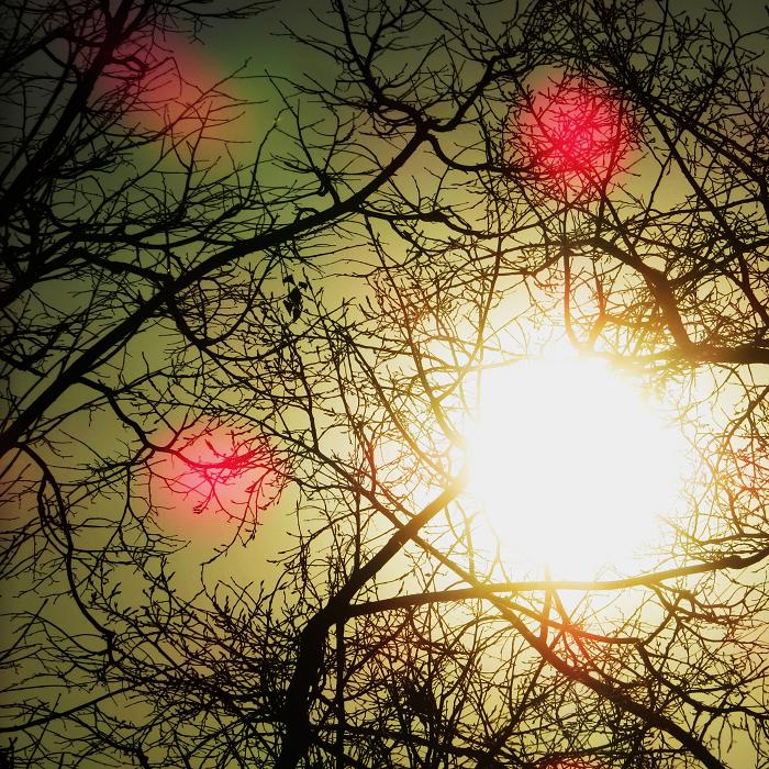 04 (700x700, 170Kb)