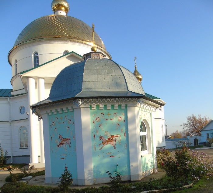 DSC02422 (700x636, 407Kb)