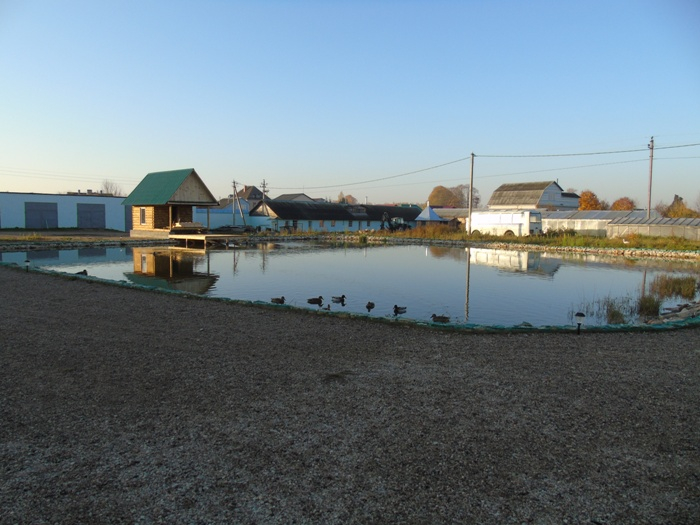 DSC02434 (700x525, 304Kb)