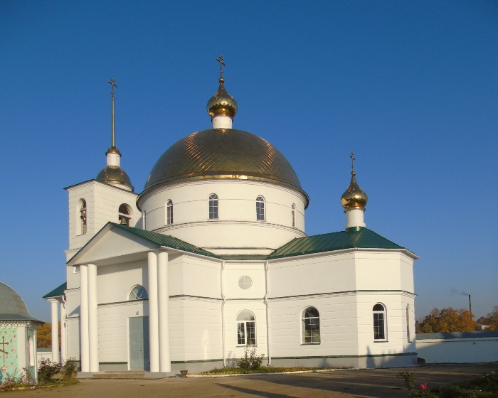 DSC02450 (700x560, 282Kb)