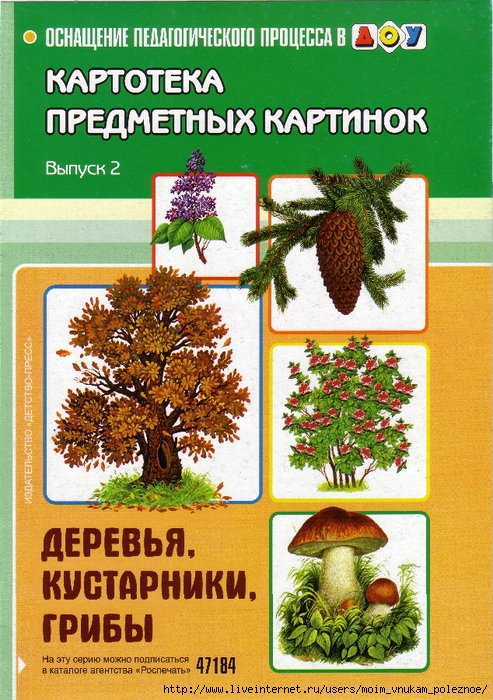 Картинки кострома 3 класс окружающий мир