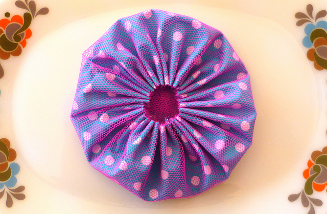 BLUE MOUNTAIN DAISY (7) (640x418, 334Kb)