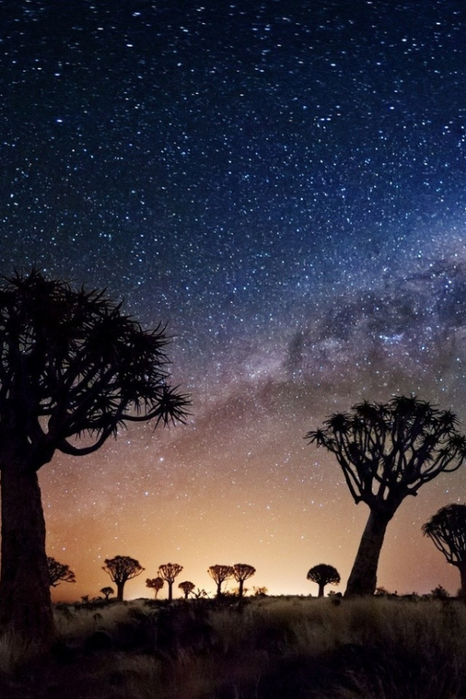 desktopwallpapers.org.ua-24139 (466x700, 341Kb)