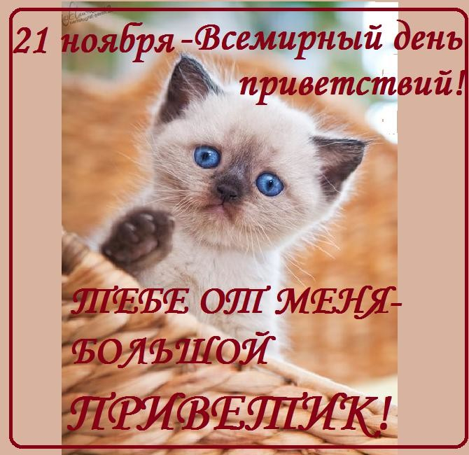 Открытки с 21 ноября, анимации