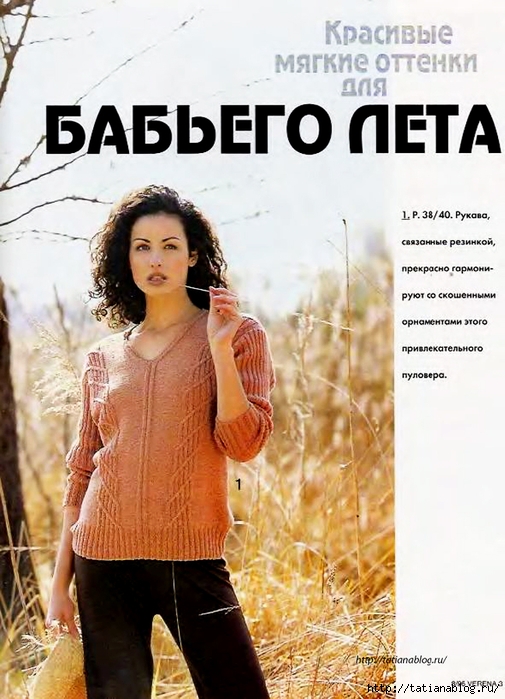 p0002 copy (505x700, 264Kb)