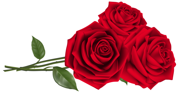 Three_Red_Roses_PNG_Clipart_Image (600x312, 123Kb)