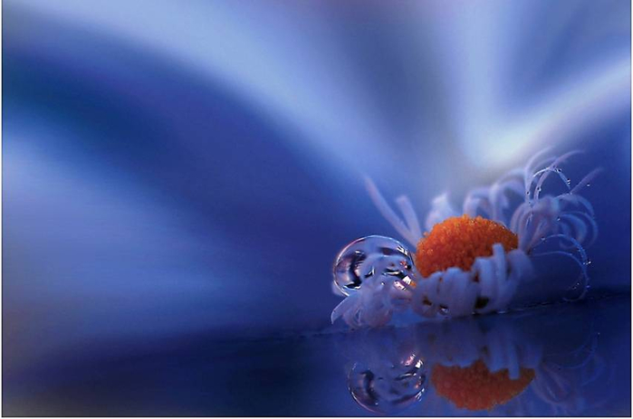 J-Nan-Macro-20 (700x463, 189Kb)