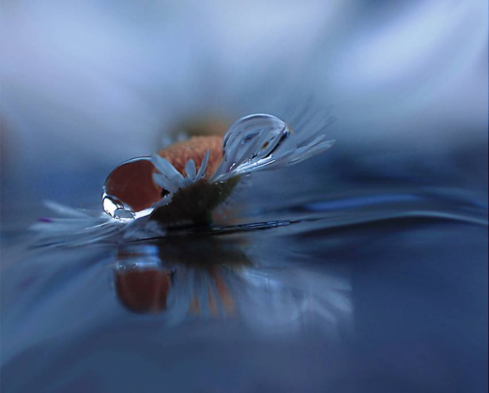 J-Nan-Macro-24 (700x563, 187Kb)