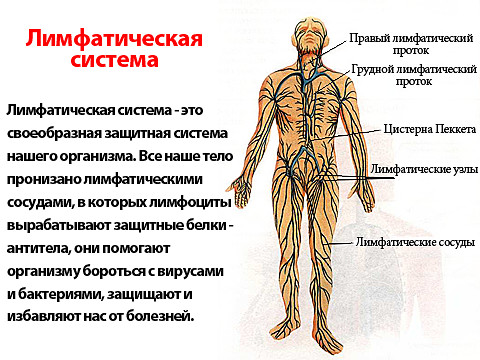 3862295_image (480x360, 78Kb)