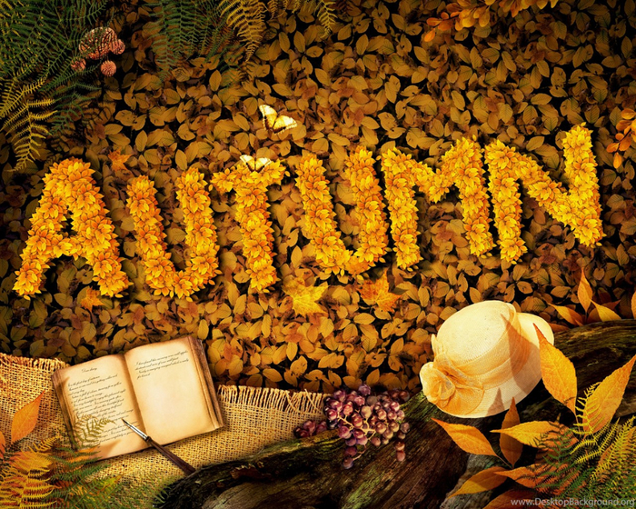 612732_autumn-background-with-book-jpgm-1399676400_3000x2340_h (700x560, 720Kb)
