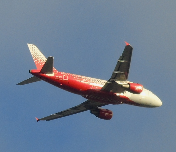 DSC03382 (699x605, 266Kb)