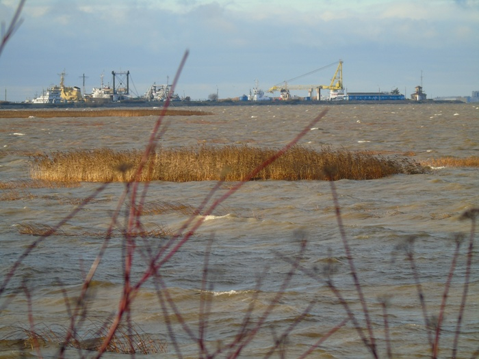 DSC03418 (700x525, 340Kb)