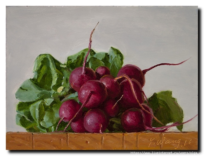 160905 a bunch of radishes (700x535, 265Kb)