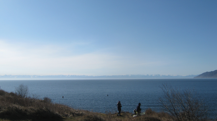 IMG_5405 (700x392, 262Kb)