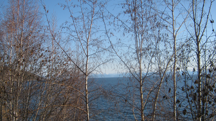 IMG_5482 (700x392, 519Kb)