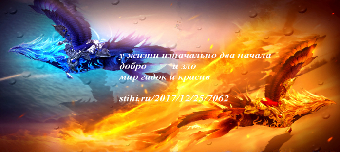 7062 (700x312, 186Kb)