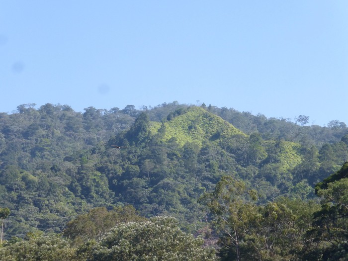 P1340602 (700x525, 412Kb)