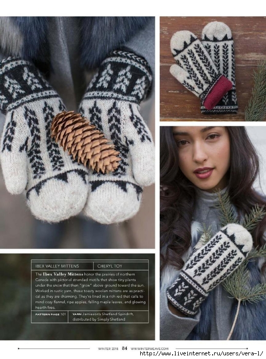 17010zIntKnits_86 (518x700, 281Kb)