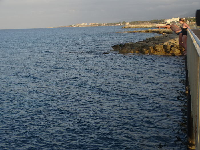 DSC07803 (700x525, 499Kb)