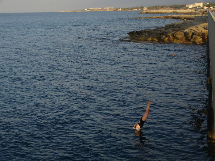 DSC07816 (700x525, 510Kb)