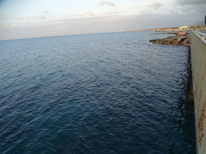 DSC07848 (700x525, 445Kb)