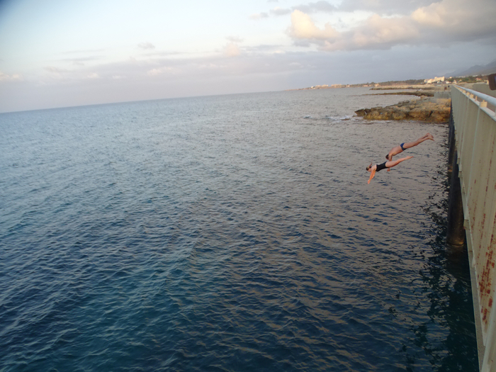 DSC07867 (700x525, 435Kb)
