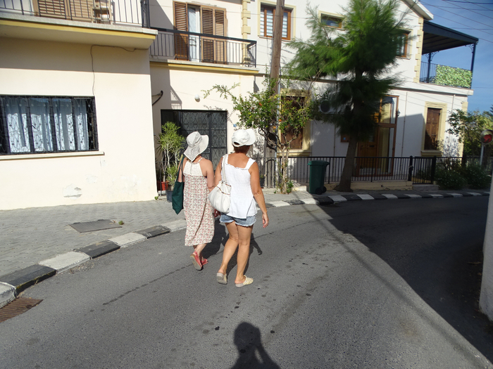 DSC07881 (700x525, 458Kb)