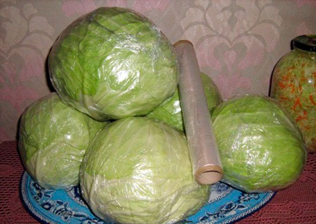kak-hranit-kapustu-pogrebe-zimoj_9 (628x445, 203Kb)