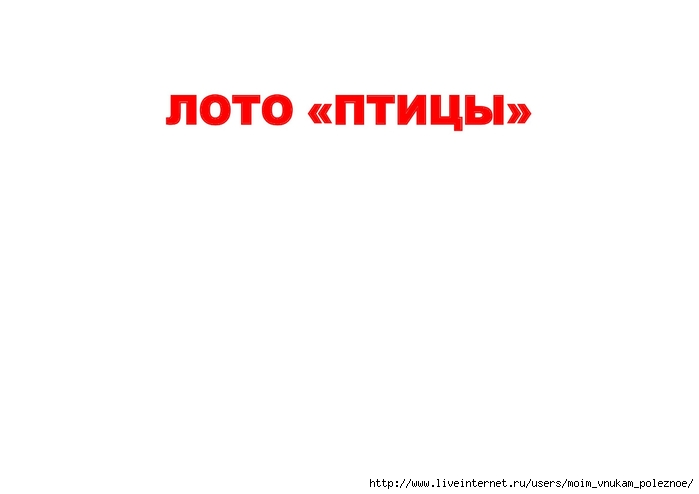 didakticheskaya_igra_zimuyushchie_ptitsy_007 (700x494, 30Kb)
