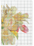  402307-ac738-110595899--uf736c (510x700, 533Kb)